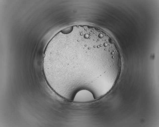 X0000115421244200911171416