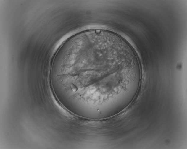 X0000115421245200911171416