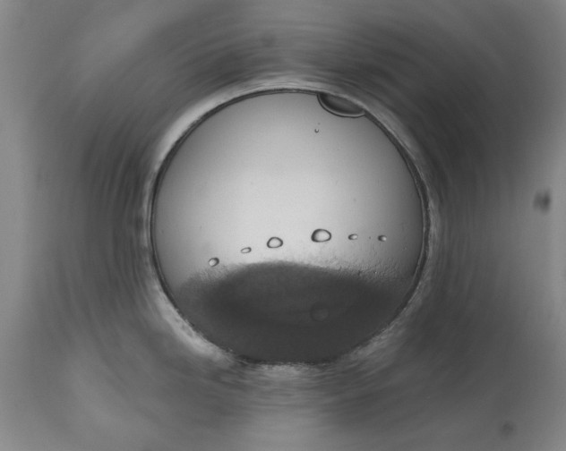 X0000115421246200911171416