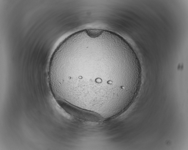 X0000115421248200911171416