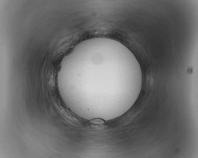 X0000115421250200911171415