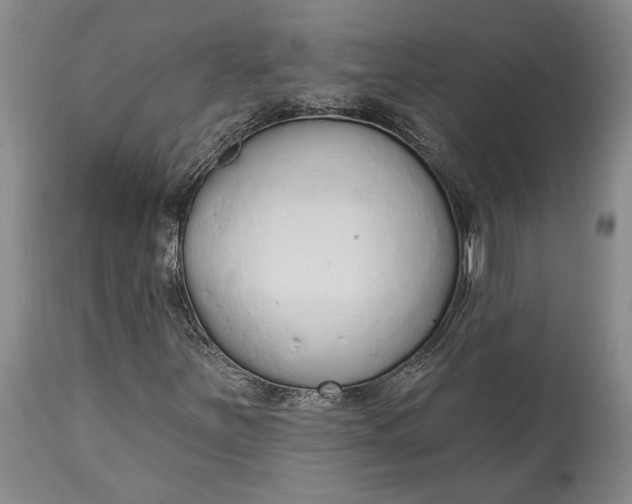 X0000115421251200911171415