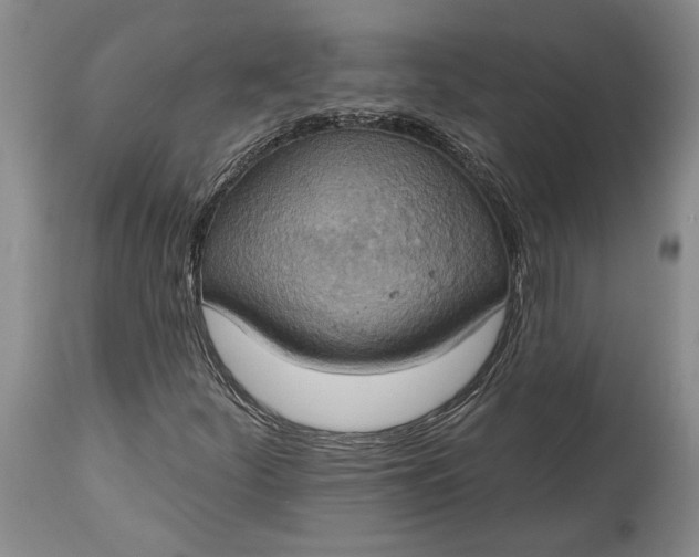 X0000115421252200911171415