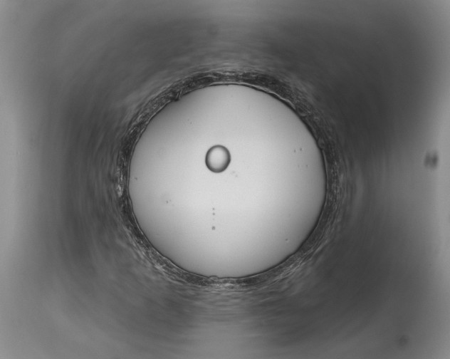 X0000115421253200911171415