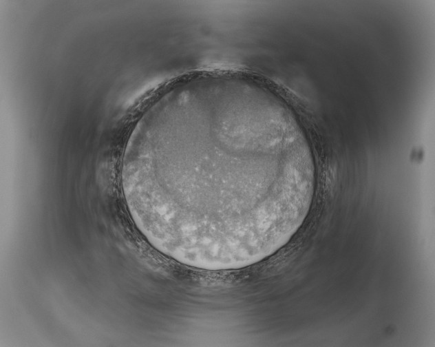 X0000115421254200911171415