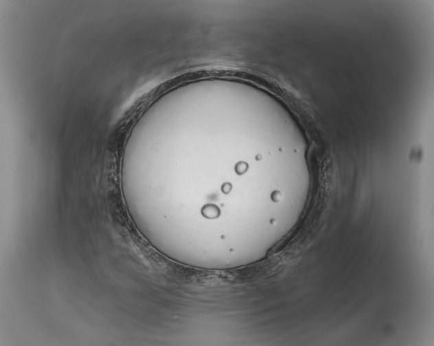 X0000115421255200911171415