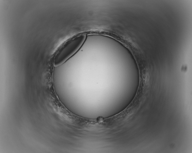 X0000115421256200911171415