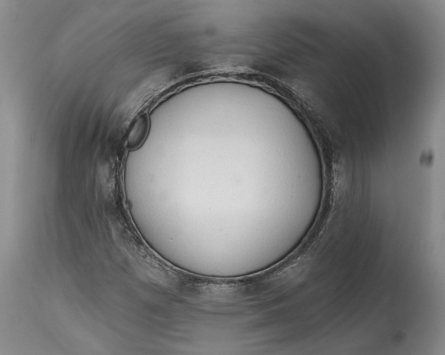 X0000115421257200911171415
