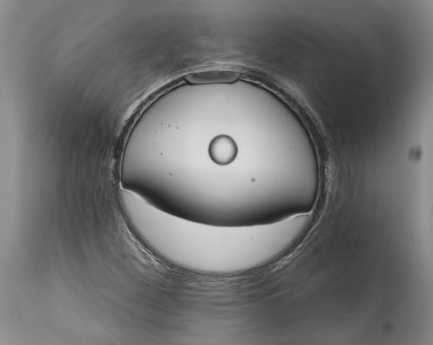X0000115421260200911171415