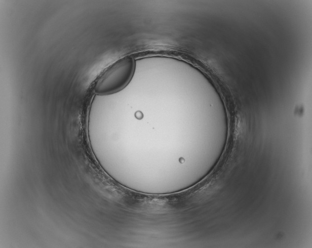 X0000115421261200911171415