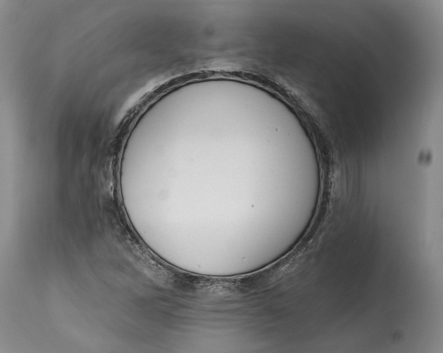 X0000115421262200911171415