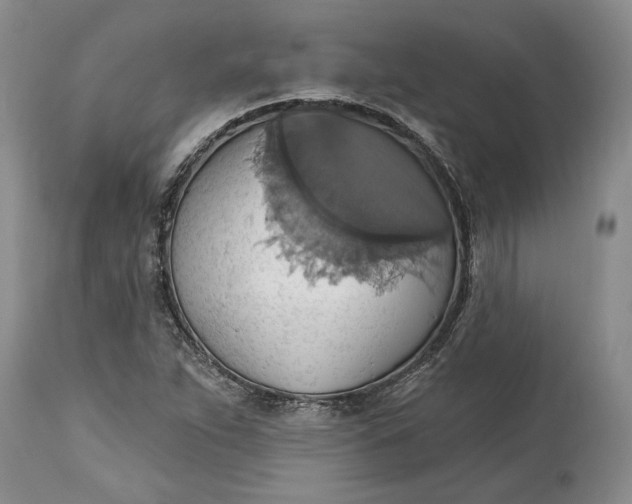 X0000115421263200911171415