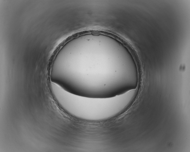 X0000115421264200911171415