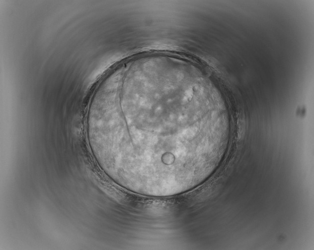 X0000115421266200911171415