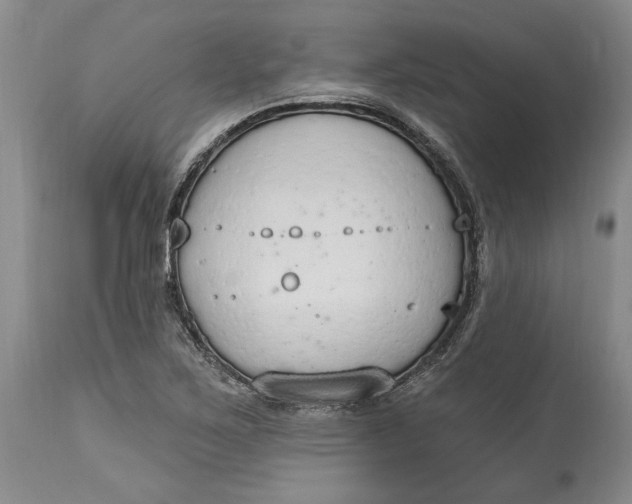 X0000115421267200911171415