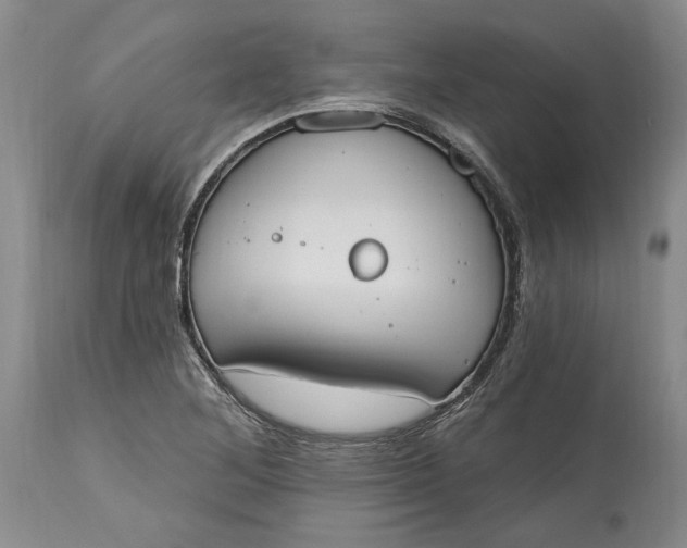 X0000115421268200911171415