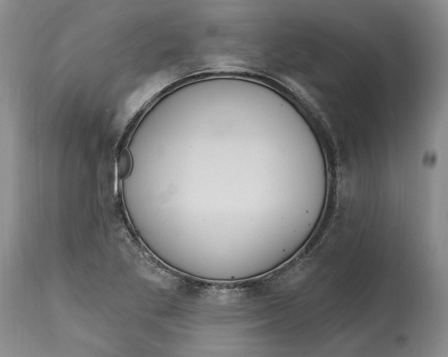 X0000115421269200911171414