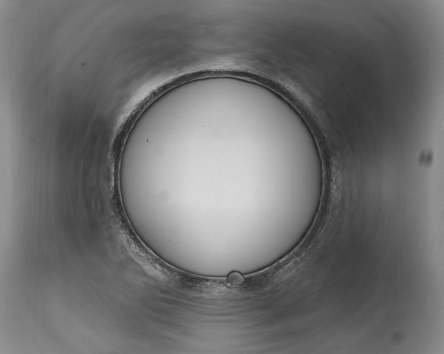 X0000115421270200911171414