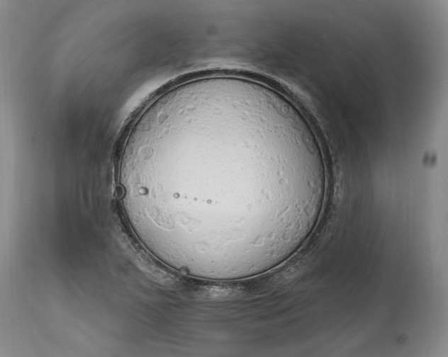 X0000115421271200911171414