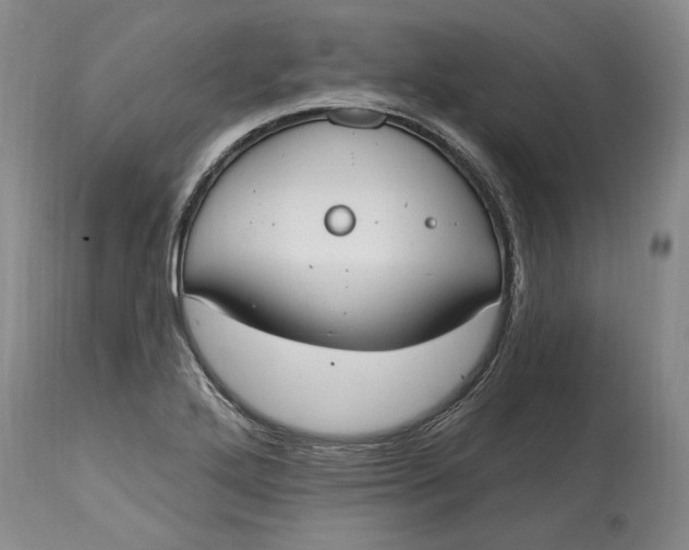 X0000115421272200911171414