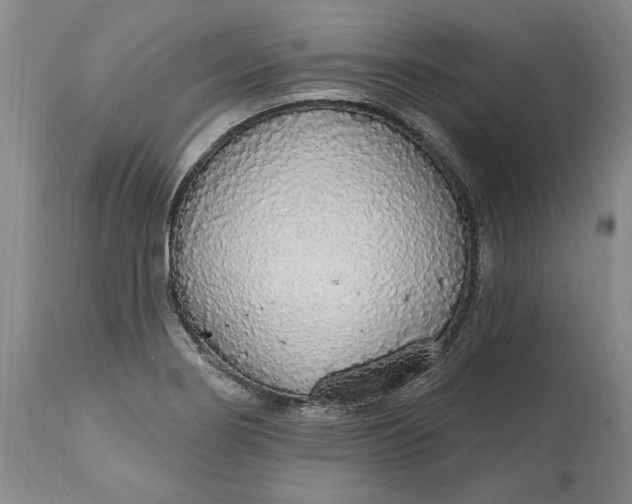 X0000115421274200911171414