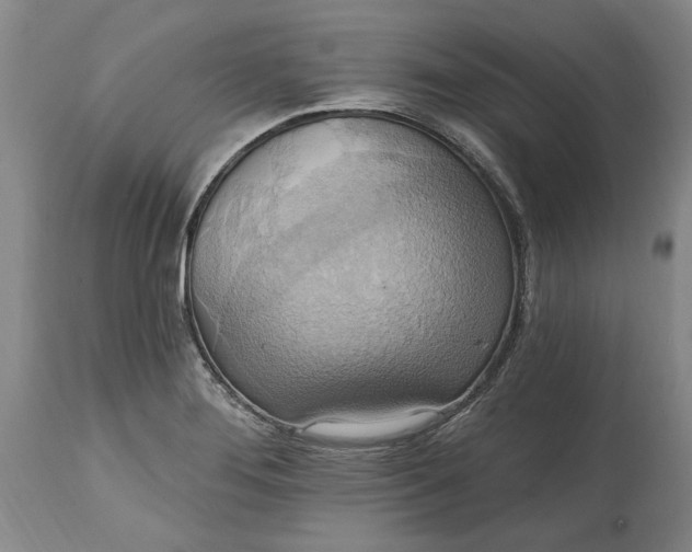 X0000115421276200911171414