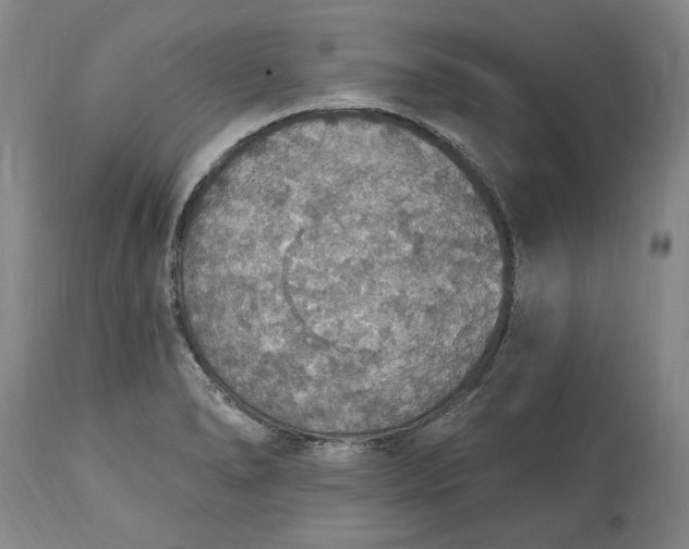 X0000115421278200911171414