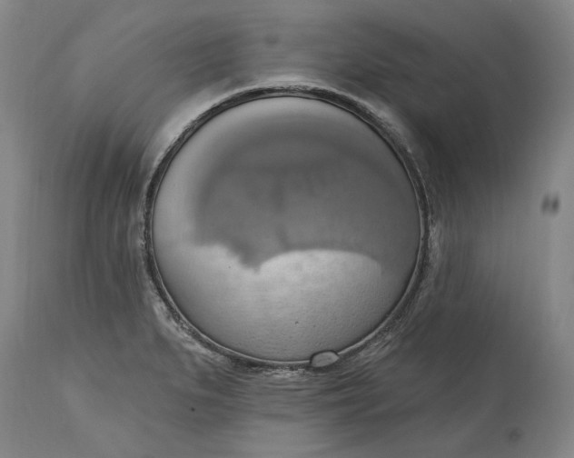 X0000115421279200911171414