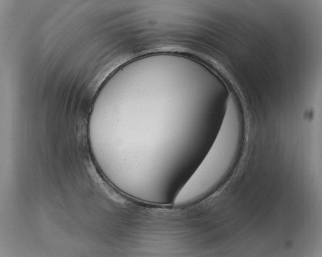 X0000115421281200911171414