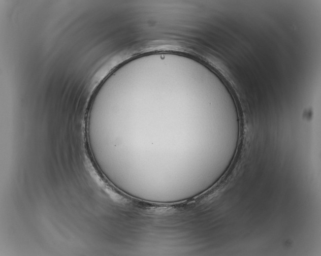 X0000115421282200911171414