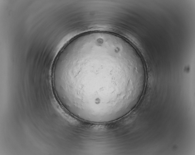 X0000115421283200911171414