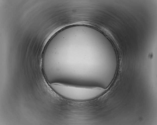 X0000115421284200911171414