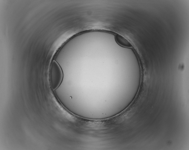 X0000115421285200911171414