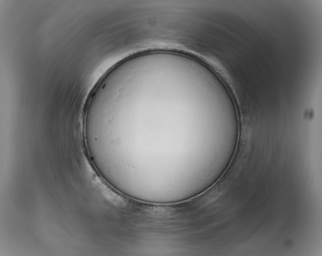 X0000115421287200911171414
