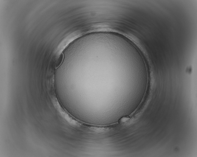 X0000115421289200911171414