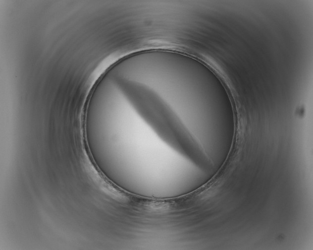 X0000115421291200911171414