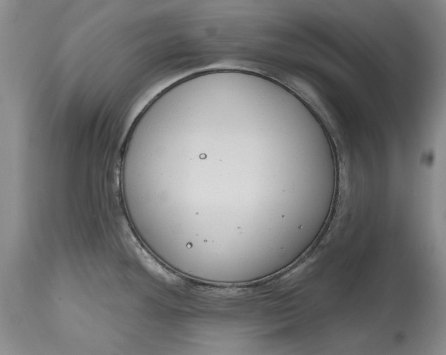 X0000115421292200911171414