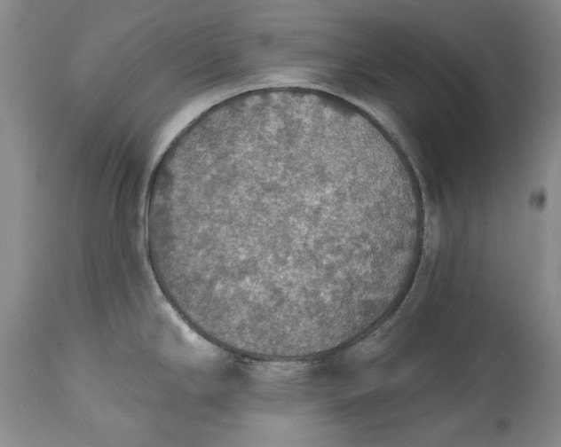 X0000115421294200911171414