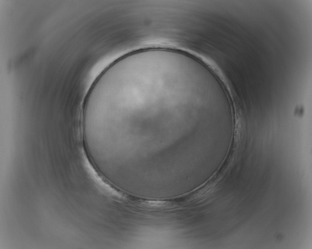 X0000115421295200911171414