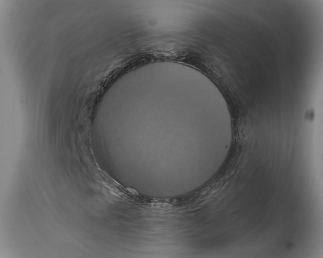 X0000115421297200911171413