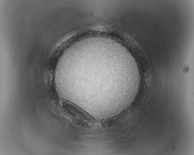 X0000115421302200911171413