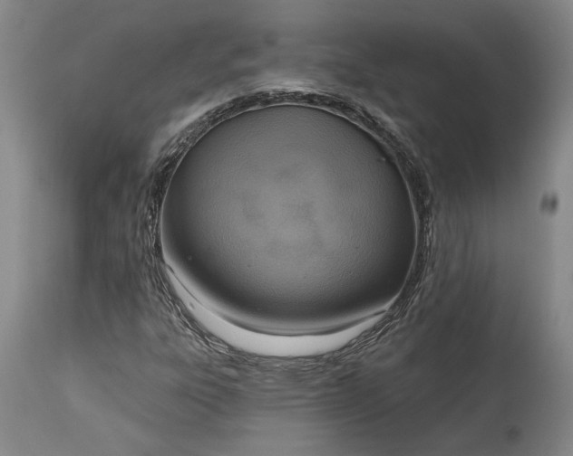 X0000115421303200911171413