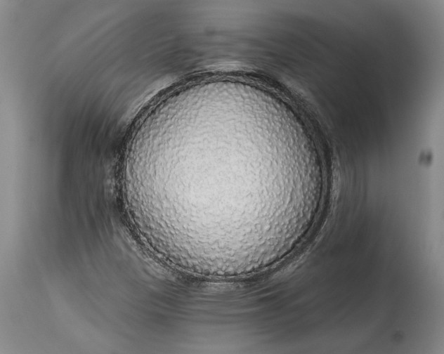 X0000115421305200911171413