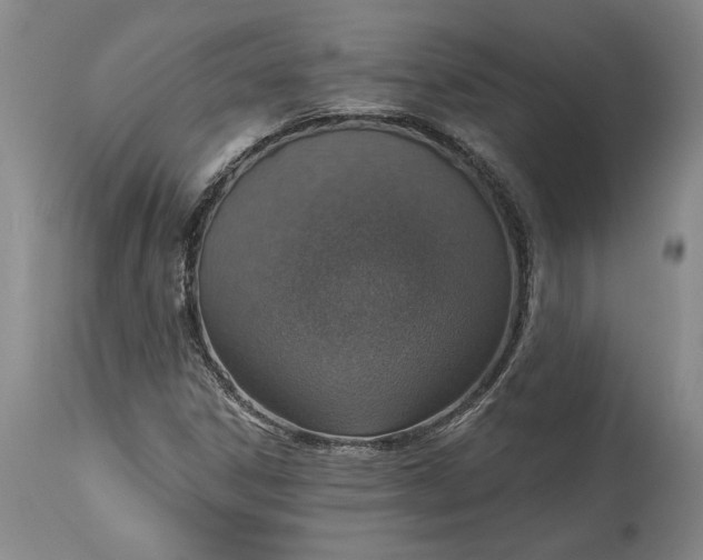 X0000115421306200911171413