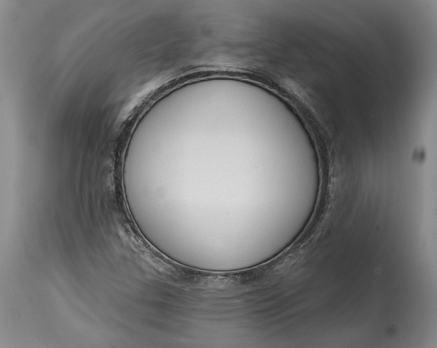 X0000115421307200911171413