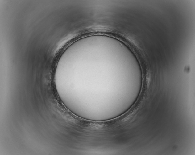 X0000115421309200911171413