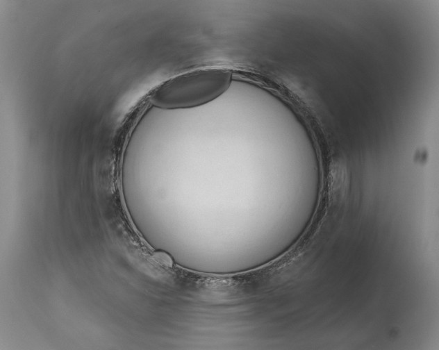 X0000115421310200911171413