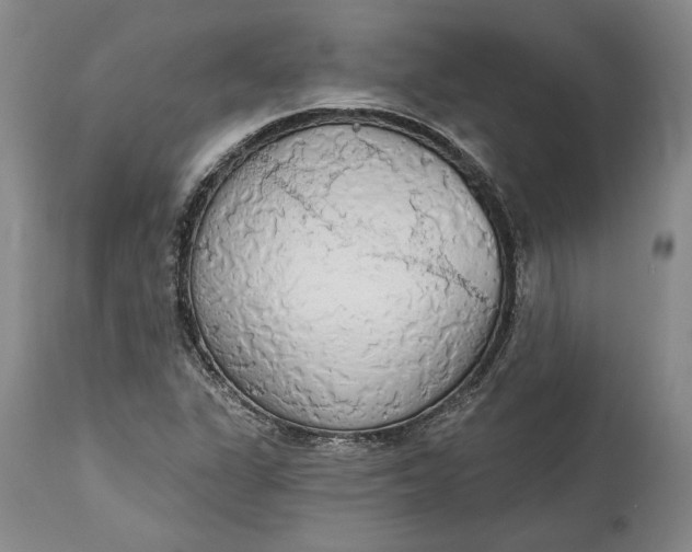 X0000115421311200911171413