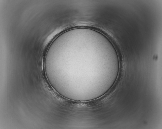 X0000115421317200911171414