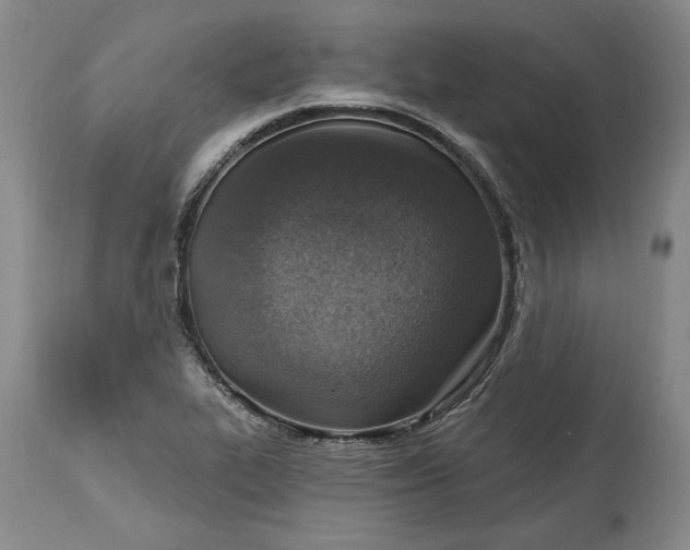 X0000115421319200911171414